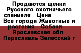 Продаются щенки Русского охотничьего спаниеля › Цена ­ 25 000 - Все города Животные и растения » Собаки   . Ярославская обл.,Переславль-Залесский г.
